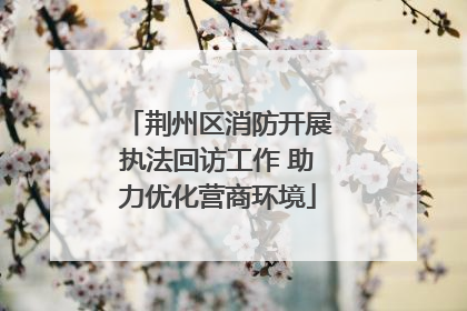 荆州区消防开展执法回访工作 助力优化营商环境